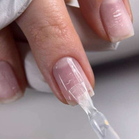 База основа