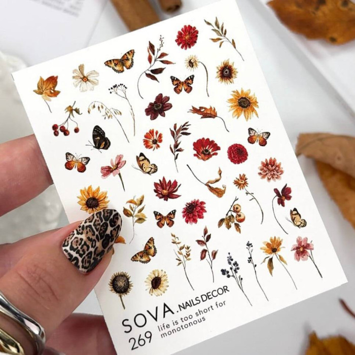 Слайдер-дизайн Sova Decor 269 Butterfly & Flowers